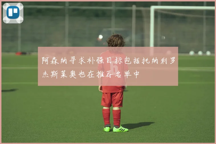 阿森纳寻求补强目标包括托纳利罗杰斯莱奥也在推荐名单中