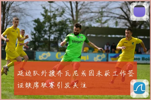 延边队外援乔瓦尼或因未获工作签证缺席联赛引发关注