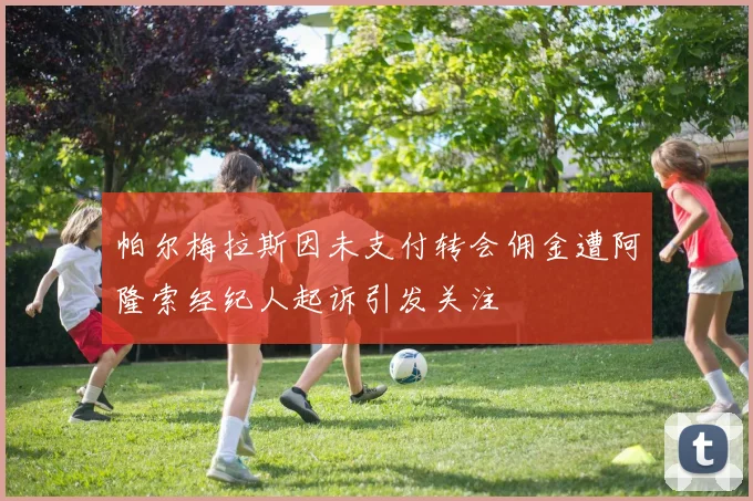 帕尔梅拉斯因未支付转会佣金遭阿隆索经纪人起诉引发关注