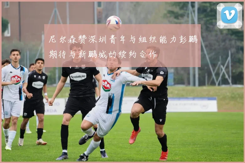 尼尔森赞深圳青年与组织能力彭鹏期待与新鹏城的续约合作